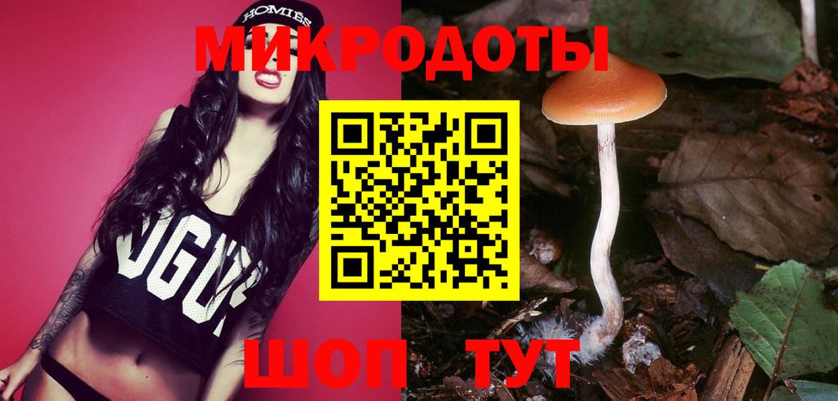 Обь  Галлюциногенные грибы Cubensis  Вход с VPN 
