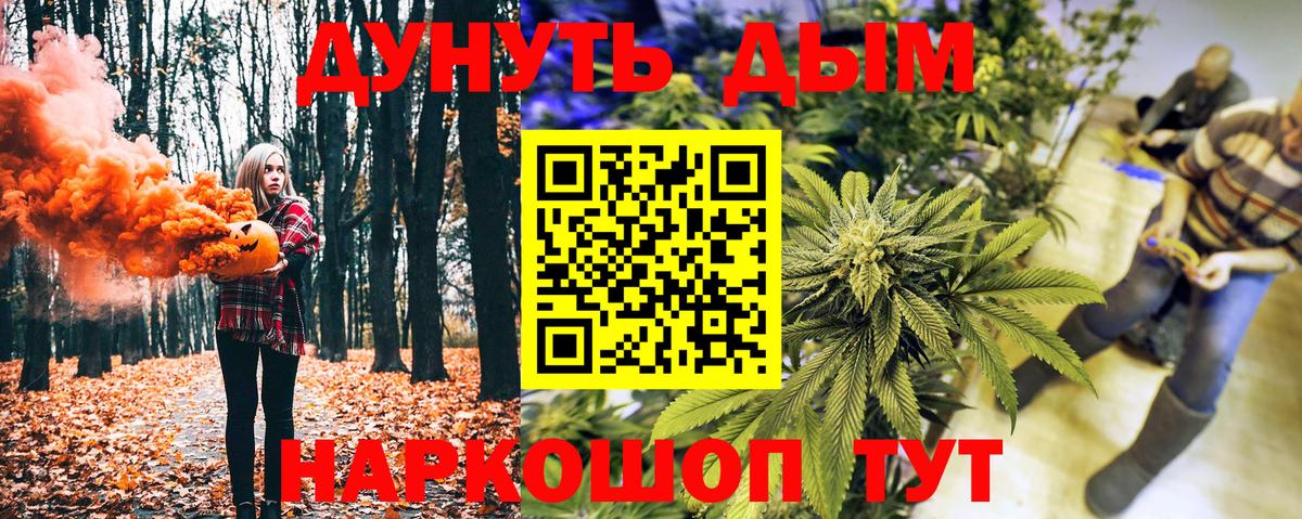 Конопля индика Обь